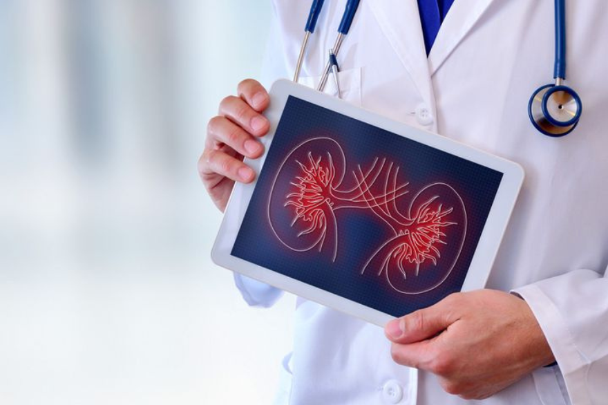 Renal & Kidney